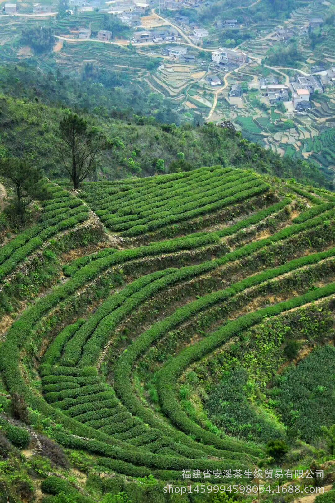 mmexport1508924573867