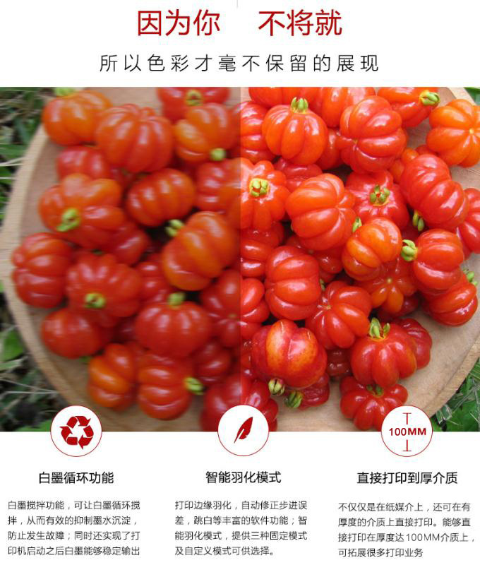 5942102717_671243548