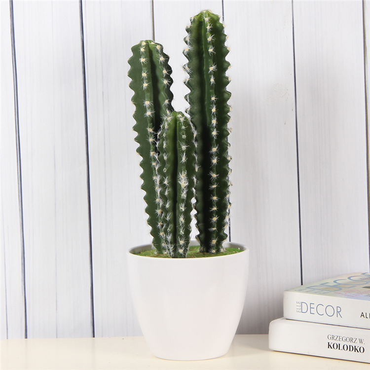 Realistic photo frame with accessories