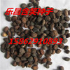 Wholesale Lechang Holdings Seed Granules Full and New Caitchang Laughing Seeds