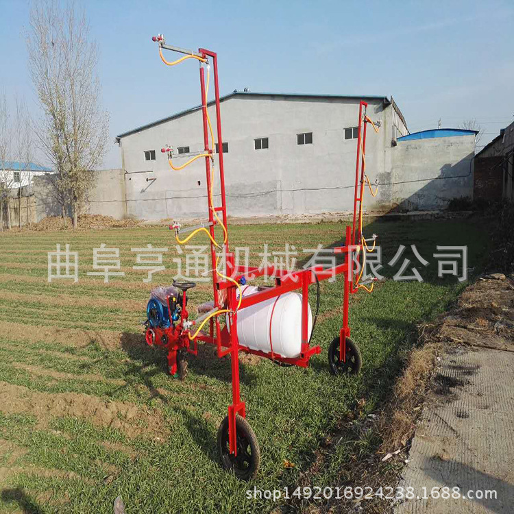 3836293822_1990170767