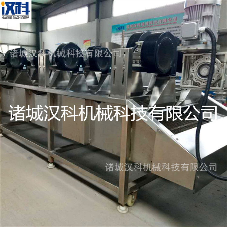 翻转式吹水机 果蔬加工吹水机 连续式休闲食品吹水机