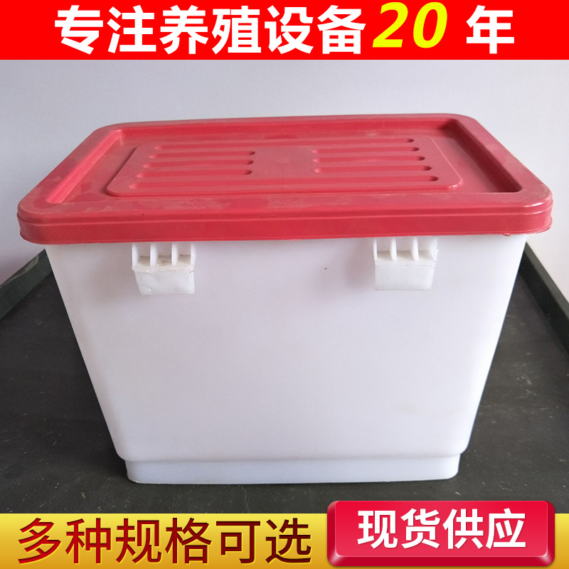 鸡用水箱养殖水箱自动饮水水箱养殖饮水器专用养殖设备