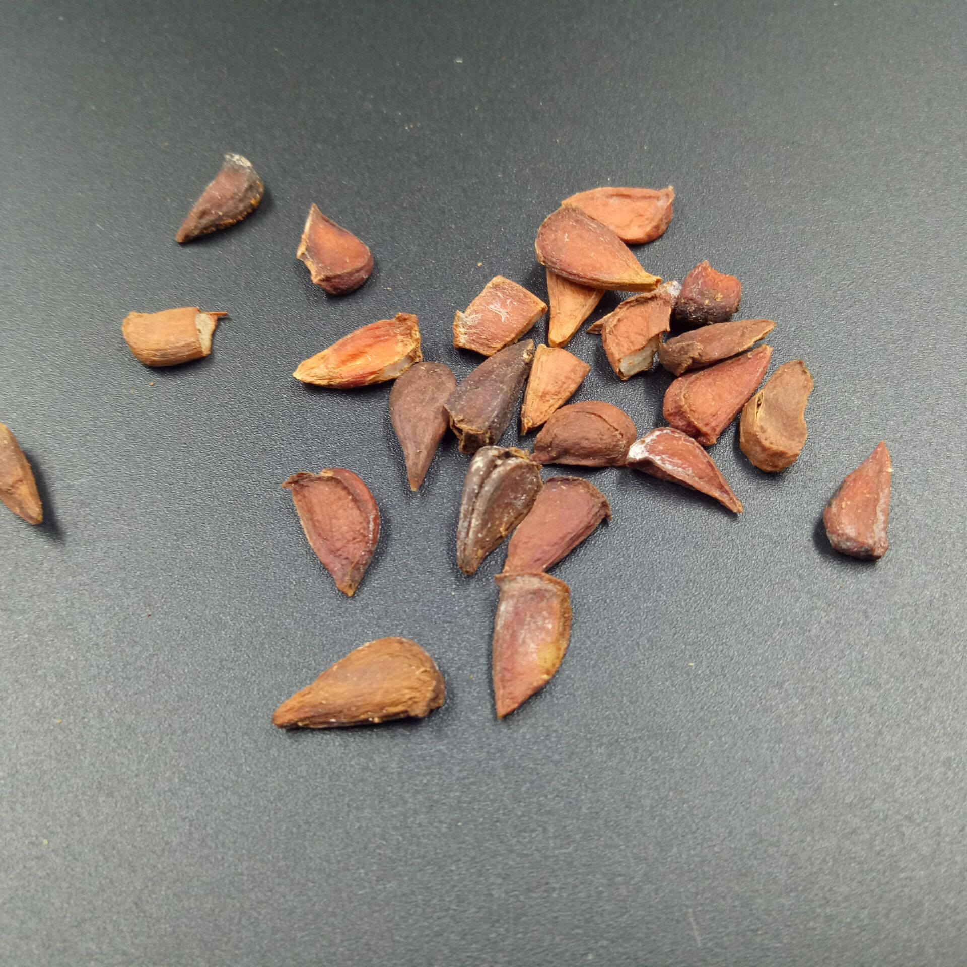 Papaya Seeds Mu Gua Zi 500g Dried Herbal Seeds for Culinary and Traditional Use specifications