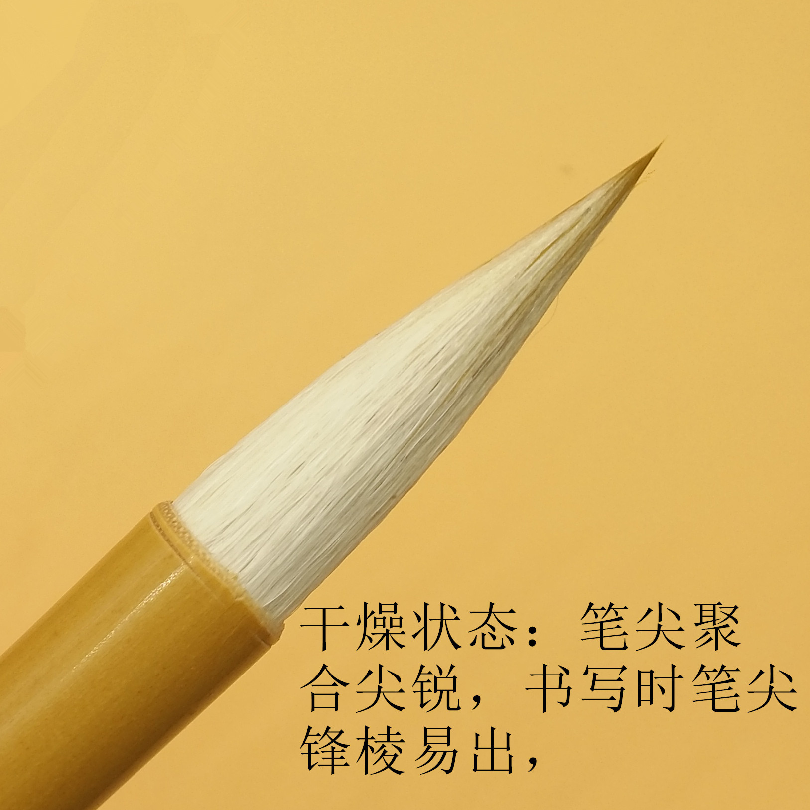 IMG_20170508_110609_副本