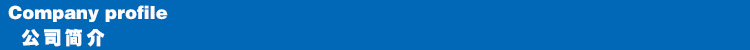 公司简介