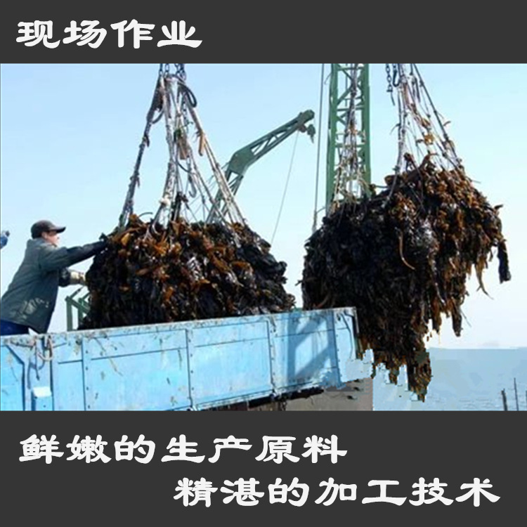 TB20ag7X71M.eBjSZFFXXc3vVXa_!!