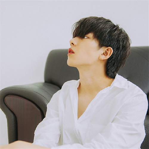 LAZADA Korean handsome female men's wig short straight hair middle parted bangs high temperature silk chemical fiber wig headgear