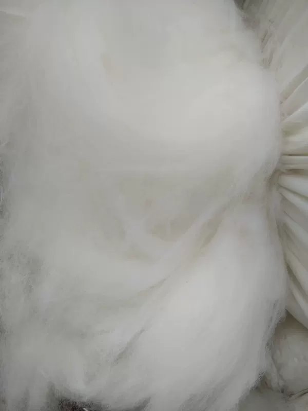 Rabbit velvet
