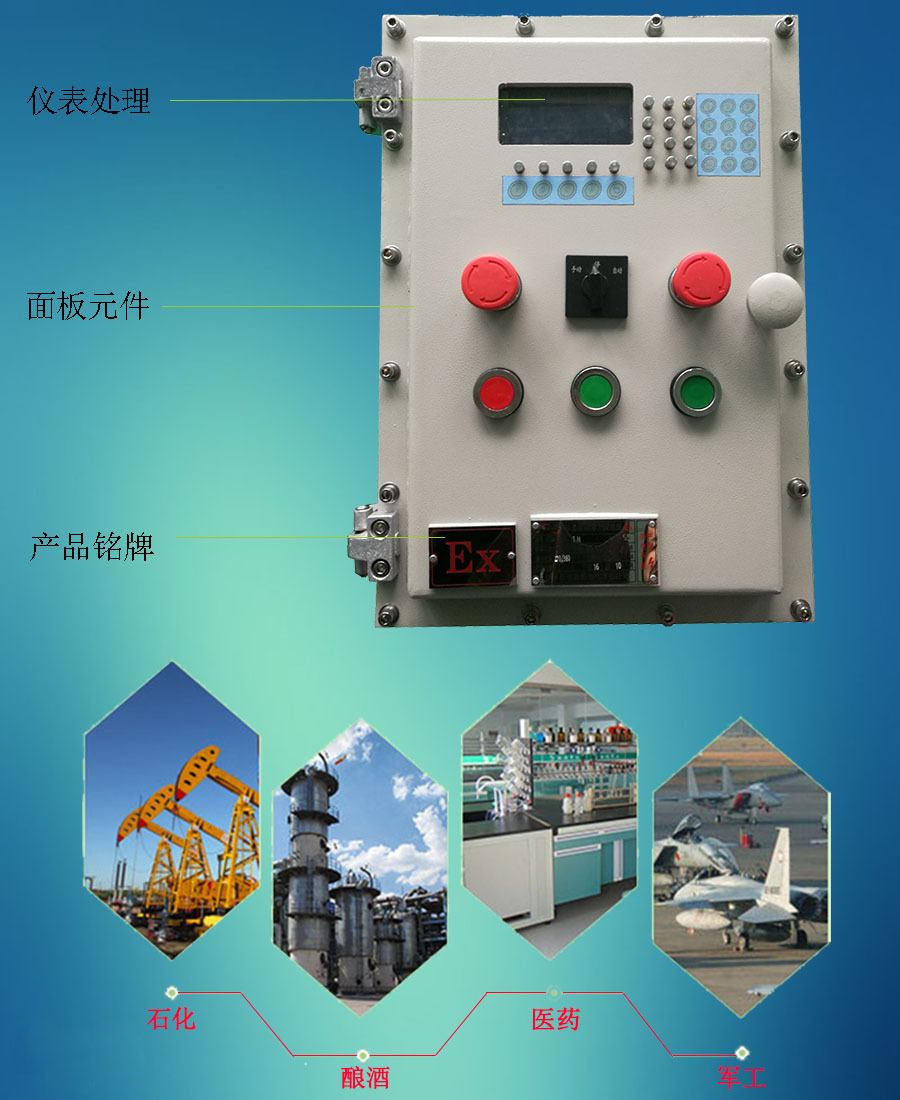 厂家直销 BXK 防爆控制箱 电机防爆控制箱 可以定制