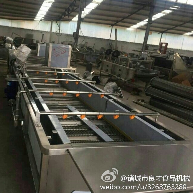 厂家供应多功能果蔬气泡清洗机 果蔬类清洗机