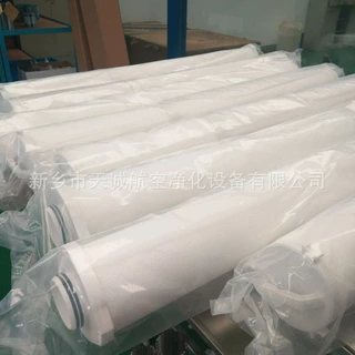 滨特尔PENTAIR大流量过滤器滤芯PF5-40GXNPSB天诚供应