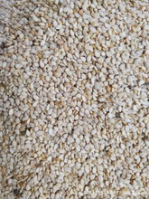 �v�R��ե������֥�� �r����֥�� ��֥�� Сĥ����֥���uԭ��