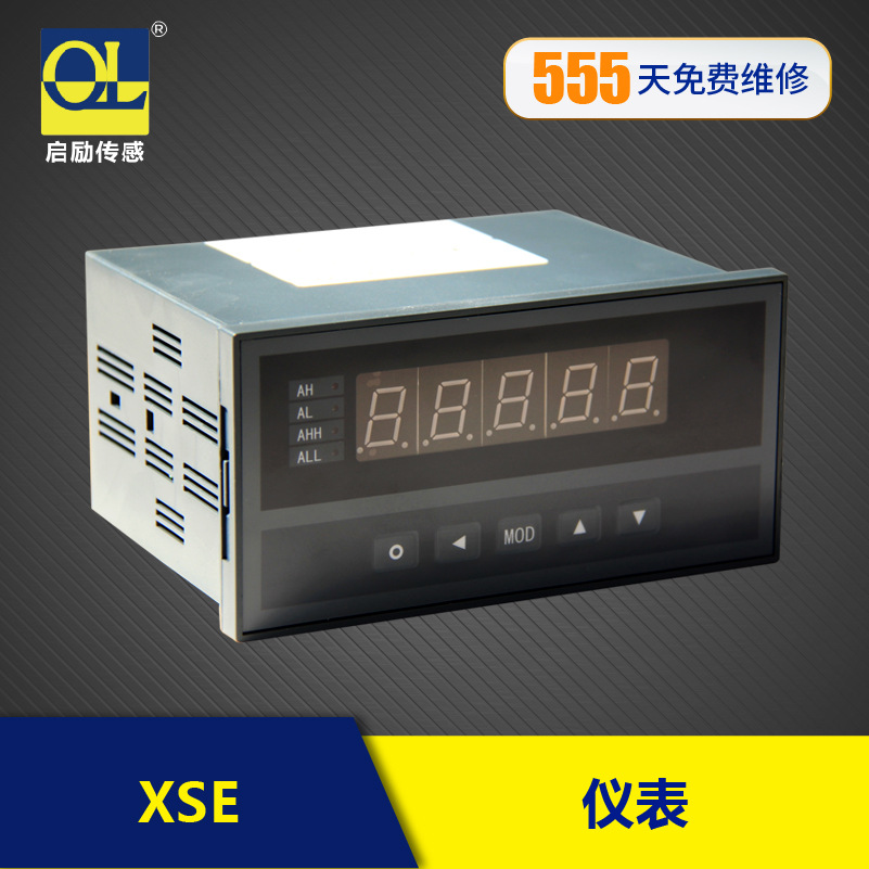 XSE智能显示仪表 可带485通信协议 高精度 5位显示数显仪表系列|ru