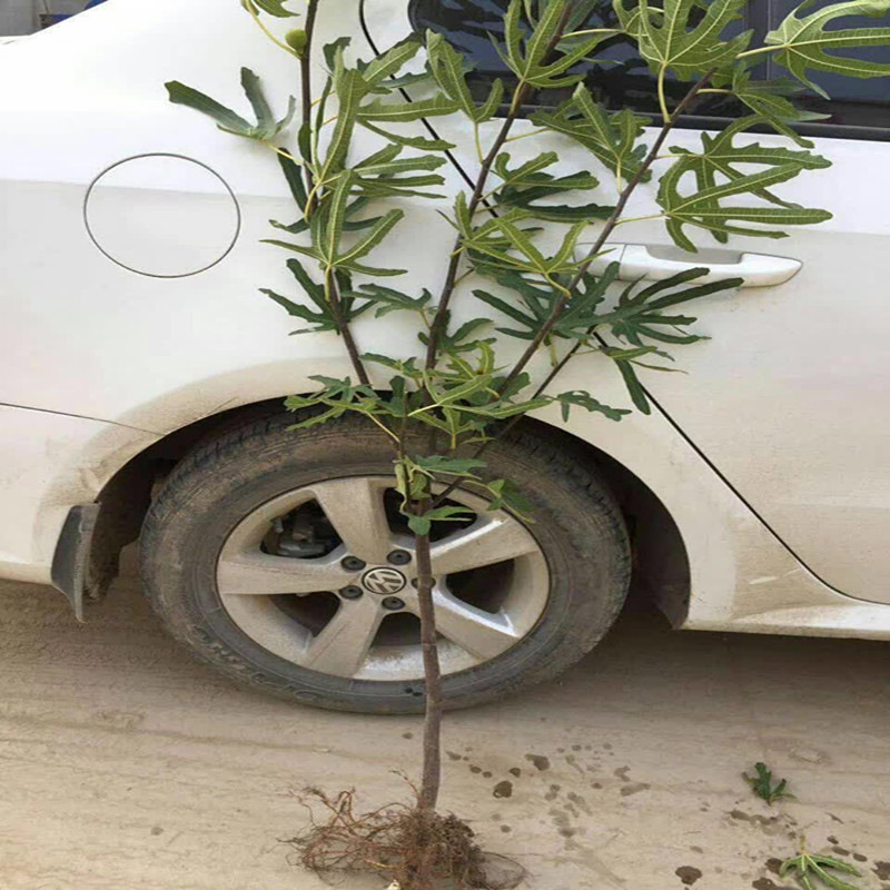 寰俊鍥剧墖_20171105152920_鍓湰