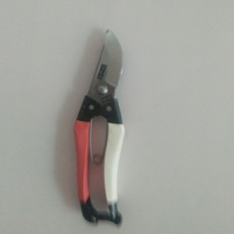 厂家批发 红梅子望儿山果枝剪 修枝剪刀 树枝剪批发