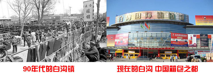 3553266529_1312357961