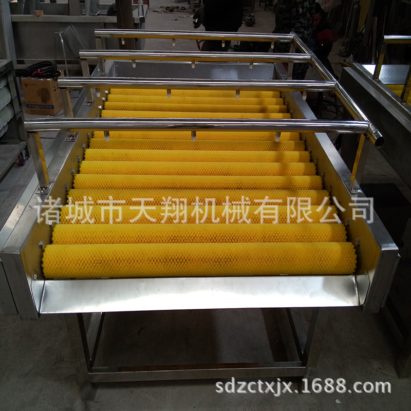 平行式毛辊清洗机药材清洗设备 厂家供应供应 中草药清洗机