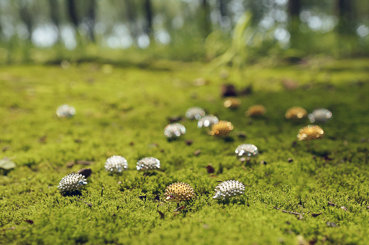 5331265159 1744051483