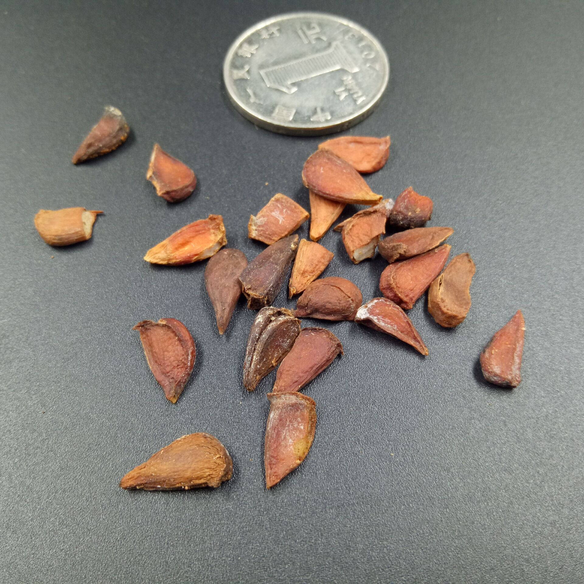 Papaya Seeds Mu Gua Zi 500g Dried Herbal Seeds for Culinary and Traditional Use overview