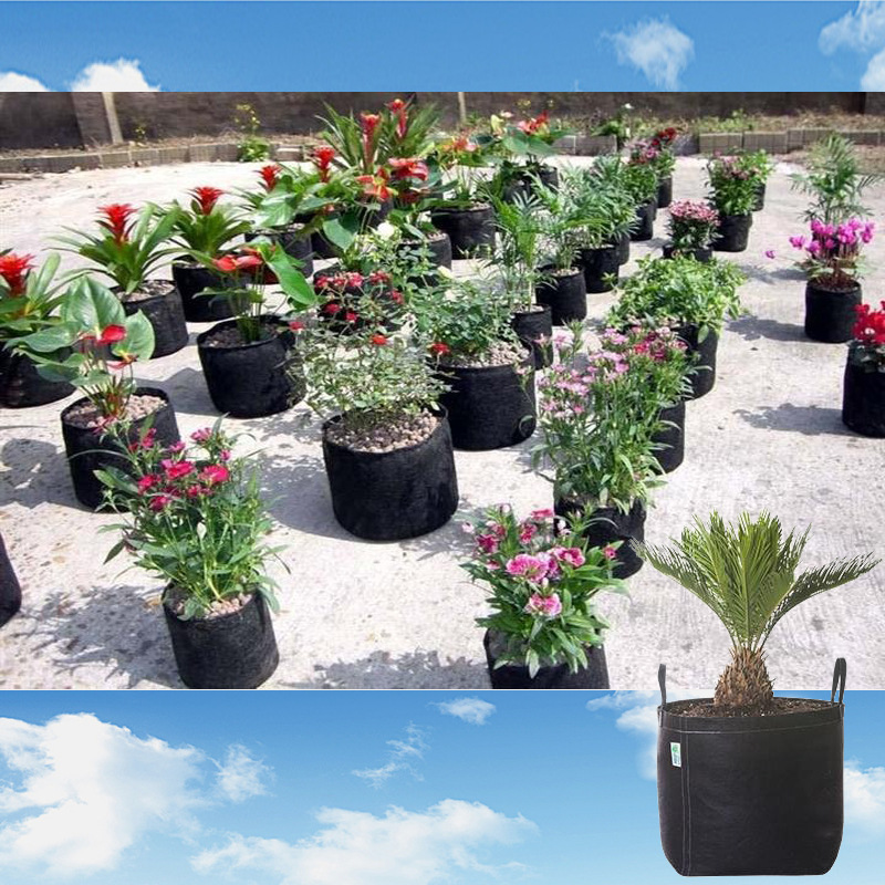厂家定制植物袋家庭园艺种植物袋绿化花卉无纺布毛毡园林植物袋