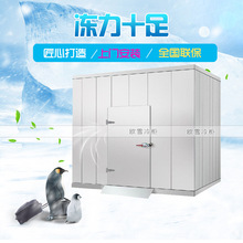 【歐雪】冰庫大型小型保鮮速凍冷庫 水果肉類冷藏冷庫安裝定制