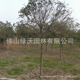 ��������16���ִ��~�š��S��䡢�S���䡢�е��䡢�L����