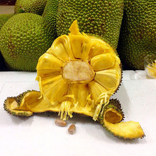 一斤菠萝蜜价格_最新一斤菠萝蜜价格\/批发报价