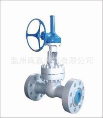钛及钛合金闸阀 钛及法兰闸阀 钛合金闸阀