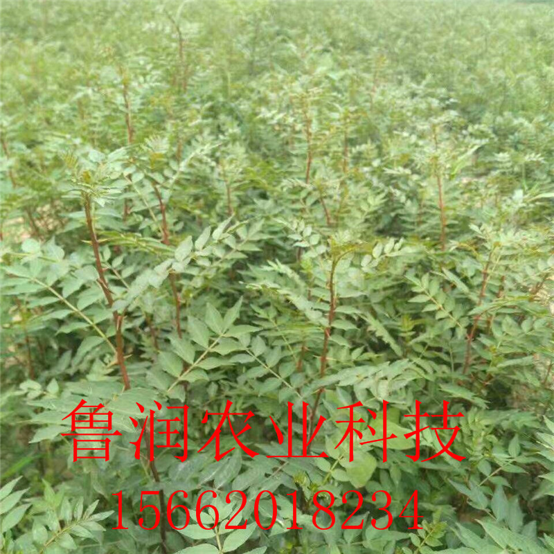 [微信图片_20170902194814]