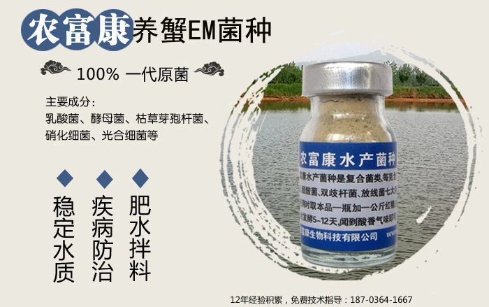 养蟹EM菌