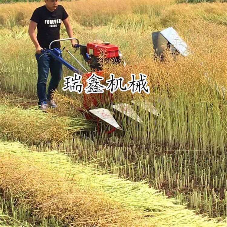 籼稻晚稻割晒机 生产销售芦苇割晒机 开封