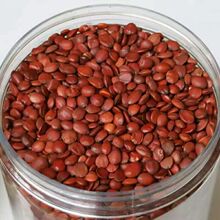 ���l�͜غ決���ᗗ�ʇ��a؛��ș�ďS�ҟo�s��؛ �ᗗ������ă�