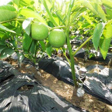 �F؛���ۺ����� ����M   ���������r�� �׳ɻ�r��