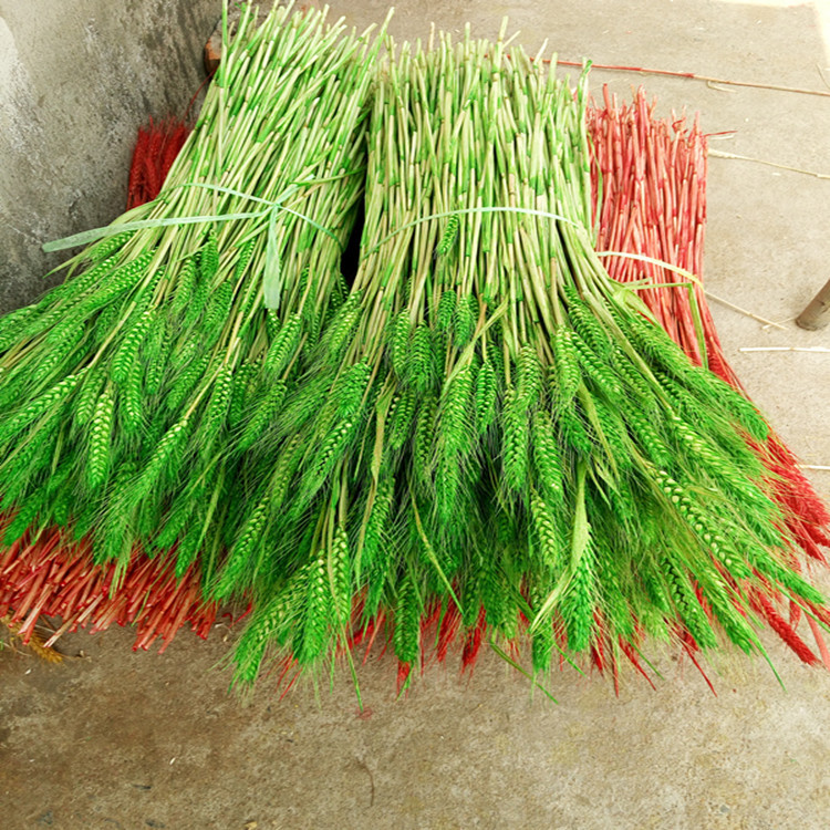 IMG_20160414_121118_副本