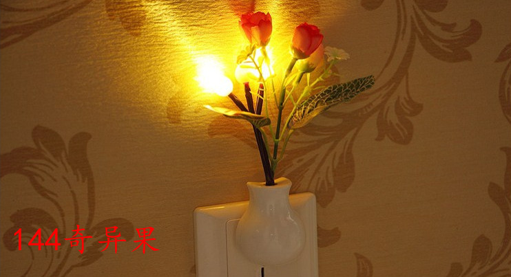 144奇异果__副本
