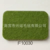 F10030