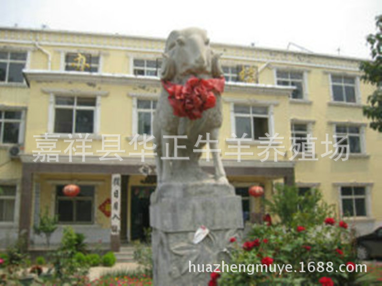 三江办公楼_副本