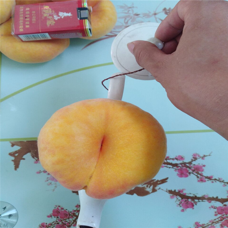 QQ图片20170802221105