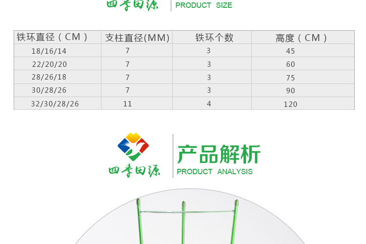 花支柱_11