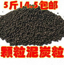 ���w�@ˇ���Nֲ�w�����辰����������ȫ�ΰ��]