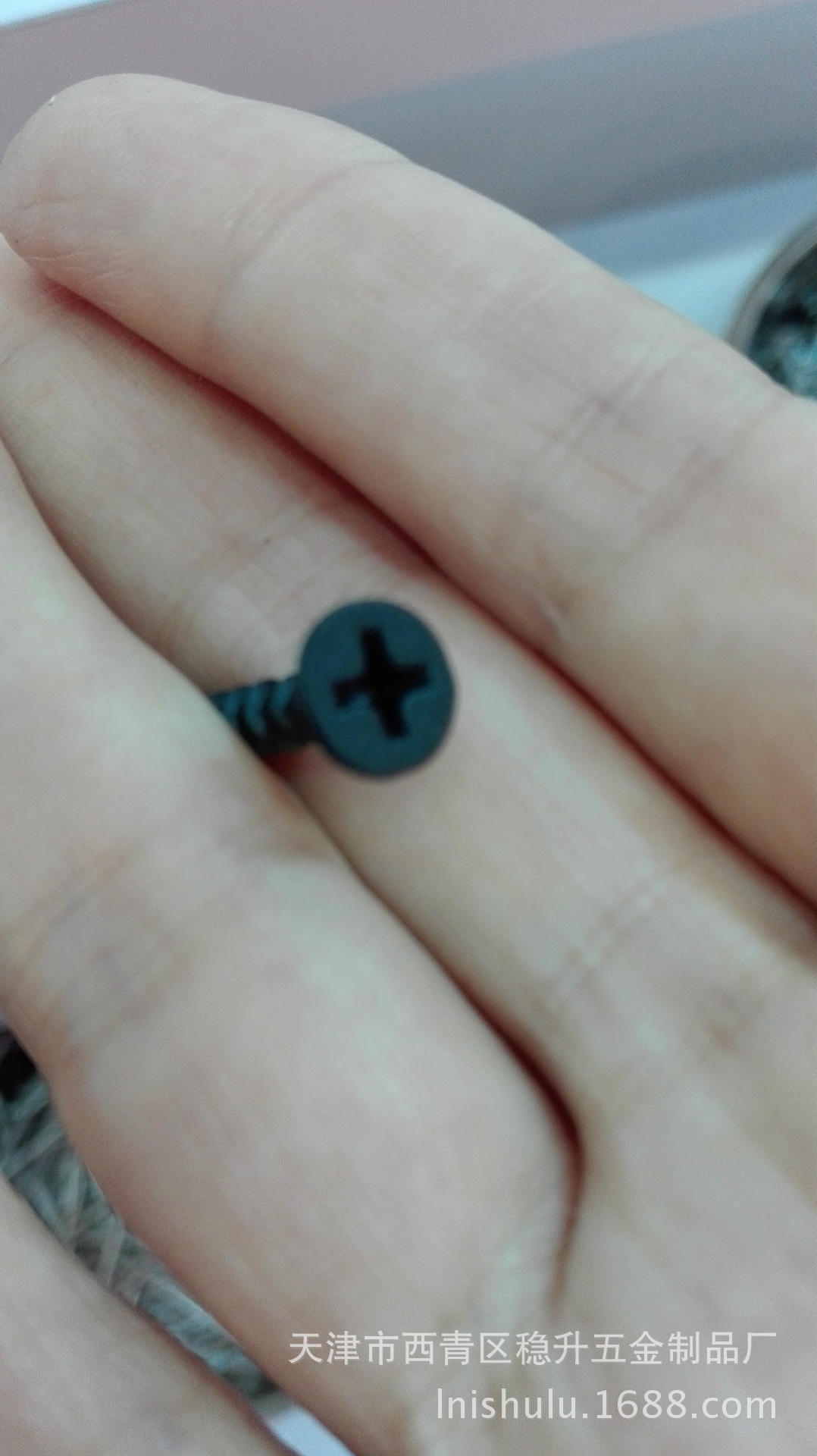 干壁钉天津出口 十字干壁螺丝钉