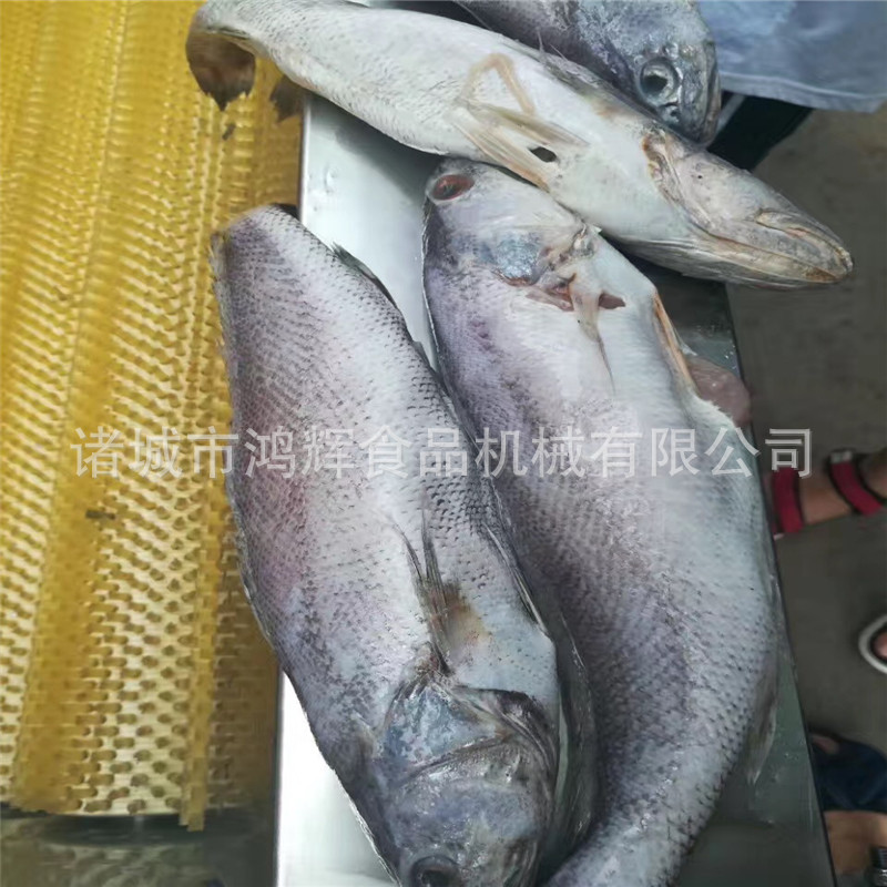 去鱼鳞清洗一体机