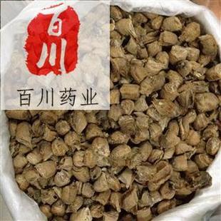 �ٴ�ș�I ɣ� ɣ��� 15��o�l���˓Q