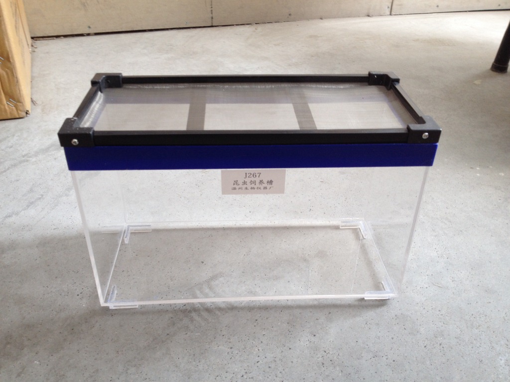 生物饲养槽昆虫饲养槽 小学科学 生物教学仪器 厂家供应