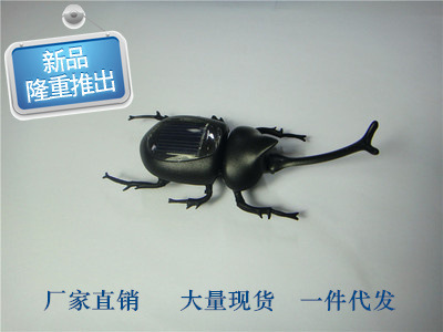 新奇特创意太阳能玩具甲壳虫 昆虫子独角仙儿童益智趣味整蛊礼物