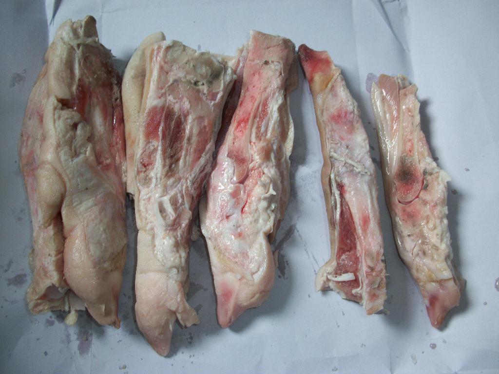 wKhQpVZwwImEfWjwAAAAAO5KlI0565