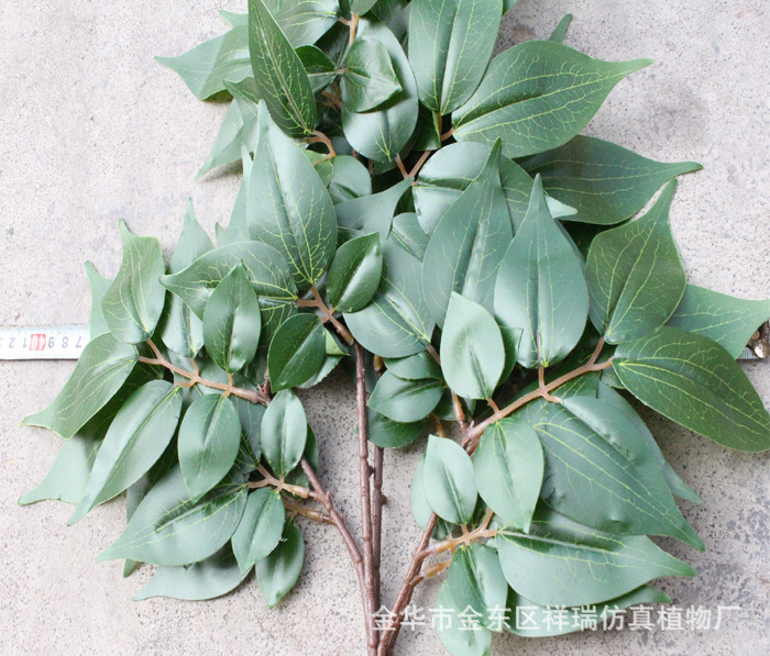 XRB-168涓冨瓙鑺卞彾涓夊弶鏋??