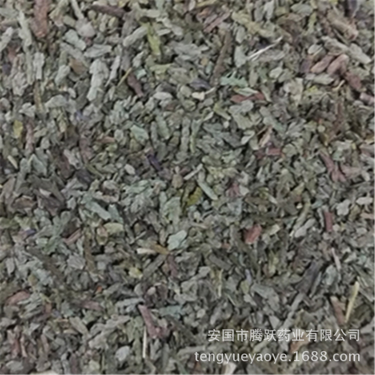 Dried Cebai Ye Chinese Arborvitae Leaf Bulk Herb Traditional TCM Decoction Ingredient quality and texture
