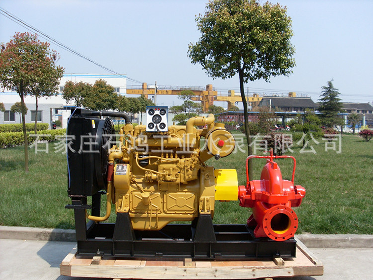 2118978172_520363016_副本